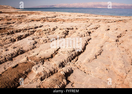 Israele, sali del Mar Morto formazione causato dalla evaporazione di acqua Foto Stock