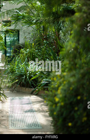 Immagine editoriale di Paxton del padiglione - serra in motivi di Giardini Botanici in Sheffield South Yorkshire. Foto Stock