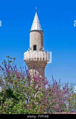 Cipro del Nord in primavera il minareto della moschea di Kyrenia circondato da un albero con fiori viola Foto Stock