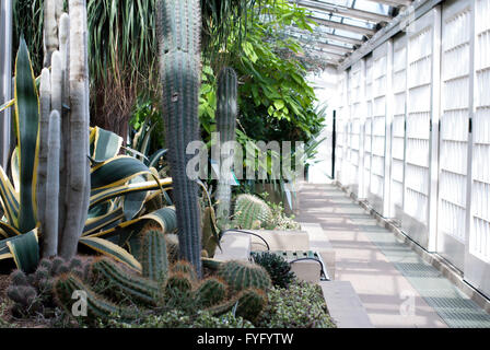 Immagine editoriale di Paxton del padiglione - serra in motivi di Giardini Botanici in Sheffield South Yorkshire. Foto Stock