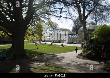 Immagine editoriale di Paxton del padiglione - serra in motivi di Giardini Botanici in Sheffield South Yorkshire. Foto Stock