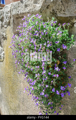 VENTABREN, BDR FRANCIA 13 Foto Stock