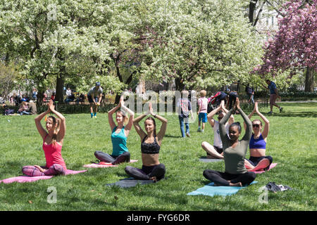 Donna Yoga classe, Est verde, Central Park, New York, Stati Uniti d'America Foto Stock