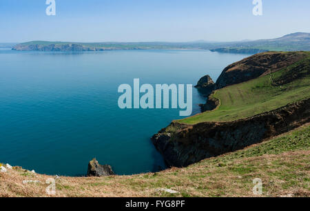 Newport Bay da Dinas Isola del Pembrokeshire sentiero costiero, il Galles con Pwll Glas in primo piano e l'ago Rock nella metà del suolo Foto Stock