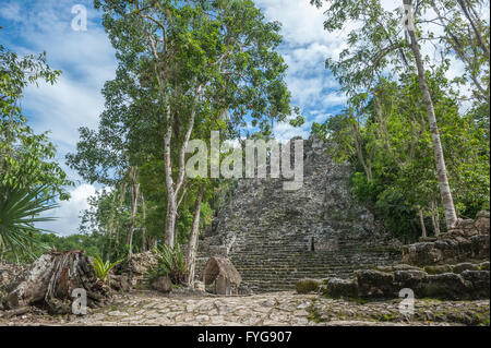 La Iglesia o la chiesa di piramide, Coba rovine, Quintana Roo, Messico Foto Stock