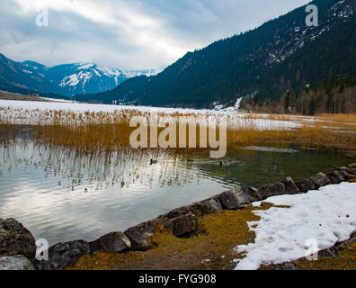 Paesaggio invernale con il lago parzialmente coperto di ghiaccio Foto Stock