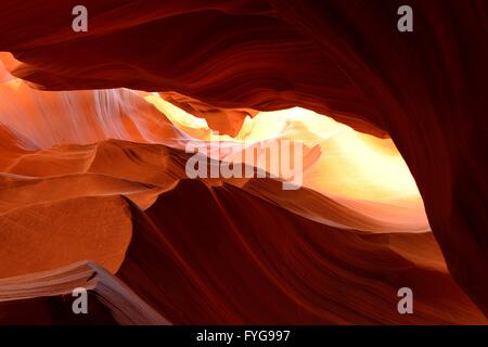 Roccia bruciore - estate sole illumina il colorato rocce di arenaria in un high desert canyon di slot. Foto Stock