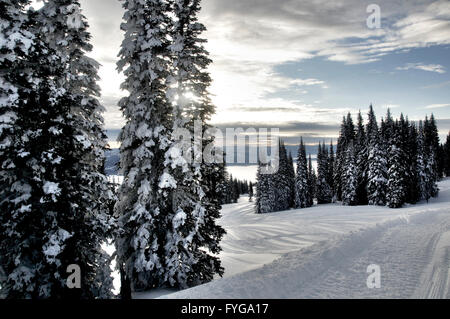 Idaho, Stati Uniti d'America Foto Stock