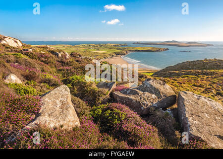 Vista costiera fino a Whitesands Bay e Ramsey Island prese da Carn Llidi vertice sul nord litorale Pembrokeshire Foto Stock