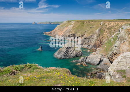 Il Deer Park vicino a Martins Haven cercando di Skomer - Pembrokeshire Foto Stock