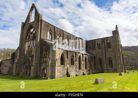 Tintern Abbey Monmouthshire vicino a Chepstow Wales UK rovine del monastero cistercense popolare destinazione turistica Foto Stock