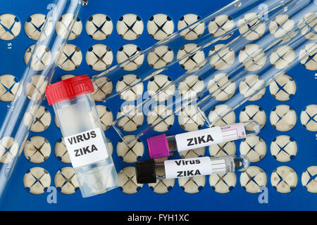 Zika concept virus foto con tubo di prova Foto Stock