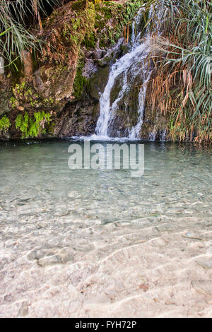 Ein Gedi acqua dolce molle, nel deserto della Giudea, Israele Israele, la cascata inferiore a Wadi David Foto Stock