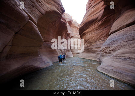 Wadi Zered (Wadi Hassa o presentauna) nella parte occidentale del Giordano. Una pietra arenaria canyon con frash acqua corrente Foto Stock