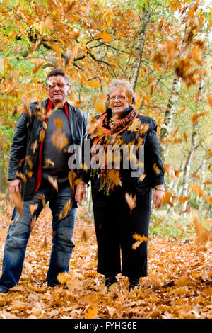 La caduta di foglie in autunno Foto Stock