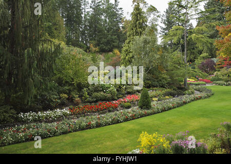 Il pittoresco glade nel ben noto Butchard-giardino Foto Stock