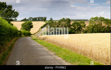 Uno stretto vicolo del paese attraversa terreni coltivati nel distretto Uttlesford di Northwest Essex, vicino al confine con il Cambridgeshire. Foto Stock