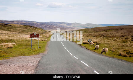 Un segno accogliendo i viaggiatori per il distretto di Teesdale della Contea di Durham sul telecomando moorland in Inghilterra settentrionale. Foto Stock