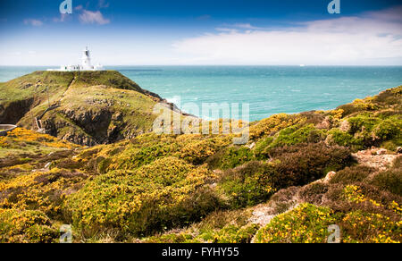 Il faro di strumble head in Pembrokeshire, Galles. Foto Stock