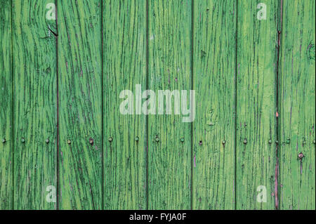 Verde pannelli di legno. Antica porta Foto Stock