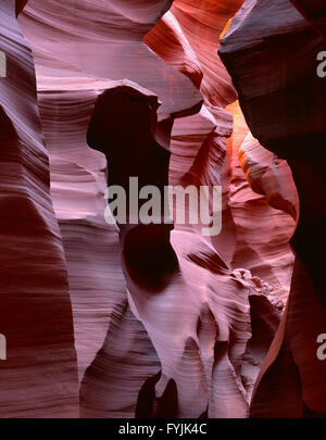 Stati Uniti d'America, Arizona, il parco tribale Navajo, erosione della pietra arenaria Navajo ha comportato il drammatico i contorni di abbassare Antelope Canyon. Foto Stock