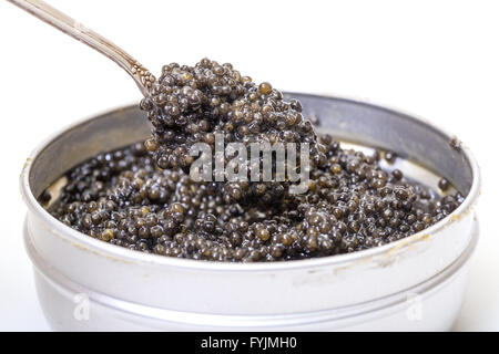 Il caviale nero in cucchiaio dal metallo può, angolo alto Foto Stock