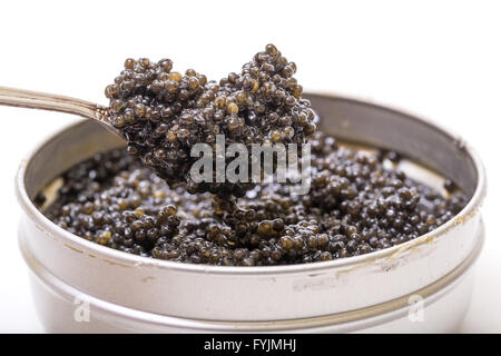 Il caviale nero in cucchiaio dal metallo può, angolo alto Foto Stock