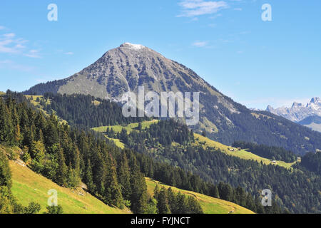 I prati e i boschi di pini sulla montagna Foto Stock