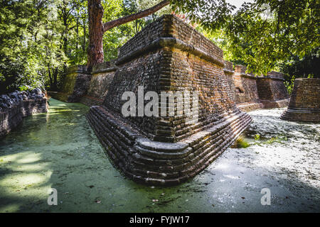 Mistero, edificio in rovine su una palude verde con acqua Foto Stock