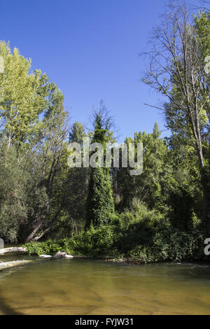 Alberche riverbank in Toledo, Castilla La Mancha, in Spagna Foto Stock