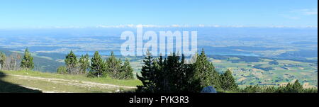 Vista delle Alpi dalla montagna Chasseral, Svizzera Foto Stock