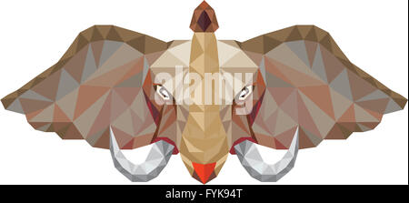 Testa di elefante Brosmio bassa poligono Foto Stock