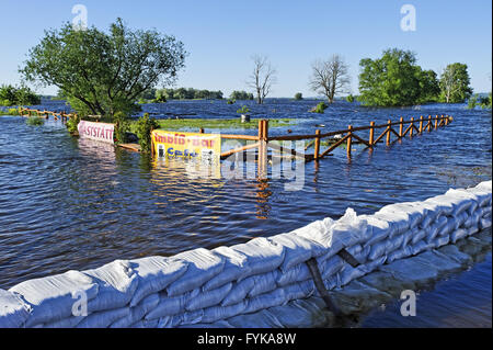 Inondati snack bar sul fiume Oder, Krajnik Dolny Foto Stock