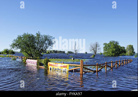 Inondati snack bar sul fiume Oder, Krajnik Dolny Foto Stock