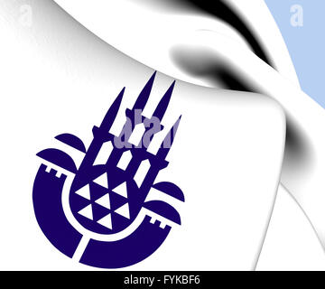 Istanbul stemma. Close up. Foto Stock