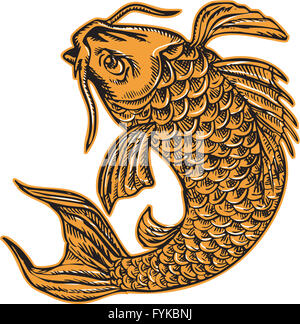 Nishikigoi Koi Carp pesce Attacco in salto Foto Stock