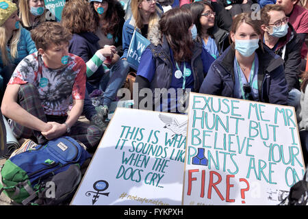 Bristol, Regno Unito. 27 apr, 2016. Bristol junior medici seduto in segno di protesta di fronte al Bristol Royal Infirmary contro l'istituzione di nuovi termini del contratto impostato da Jeremy Hunt. Oltre 250 medici in formazione dimostrando contro le condizioni che ritengono possano mettere i pazienti a rischio a causa di possibili lunghe ore sul dovere di cambio. Credit: Charles Stirling/Alamy Live News Foto Stock