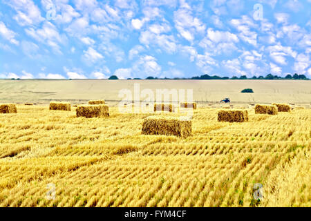 Rettangolare giallo premuto le balle di paglia su uno sfondo di cielo blu e nuvole bianche Foto Stock