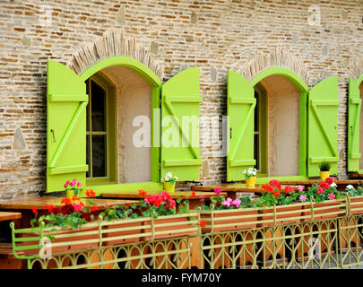 Legno casa verde windows e bellissima strada decorata con fiori Foto Stock