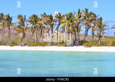 Isla Contoy sabbia in onda Foto Stock