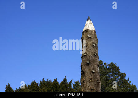 Tronco di Albero scolpito a guardare come una matita Foto Stock