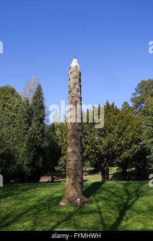 Tronco di Albero scolpito a guardare come una matita Foto Stock