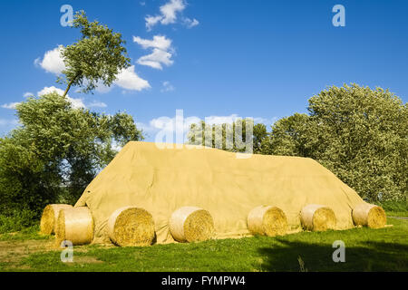 Oggetto pila di balle di paglia, Brandeburgo, Germania Foto Stock