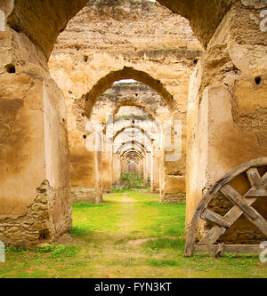 Il vecchio granaio marocchine nell'erba verde e la parete ad arco Foto Stock