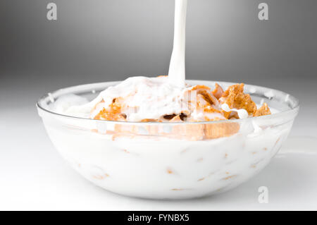 Ciotola con fiocchi di mais e latte Foto Stock