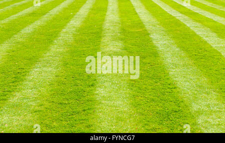 Un bellissimo giardino verde prato che è stata appena falciata con un attraente disegno di strisce e controlli Foto Stock