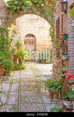 Romantico arco in pietra decorata con piante e fiori (Spello Umbria Italia). Foto Stock