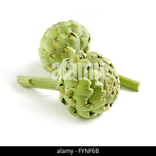 Ancora la vita di due fresche Carciofi giacenti da estremità a estremità e da lato a lato su sfondo bianco Foto Stock