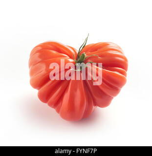 Ripe rosso fresco intero coeur de boeuf o Bistecca di manzo cultivar, pomodoro visualizzato su uno sfondo bianco con ombra Foto Stock