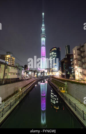 Tokyo Skytree durante la notte con le luci Sakura Foto Stock